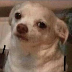 Meet your Posher, James-loïk